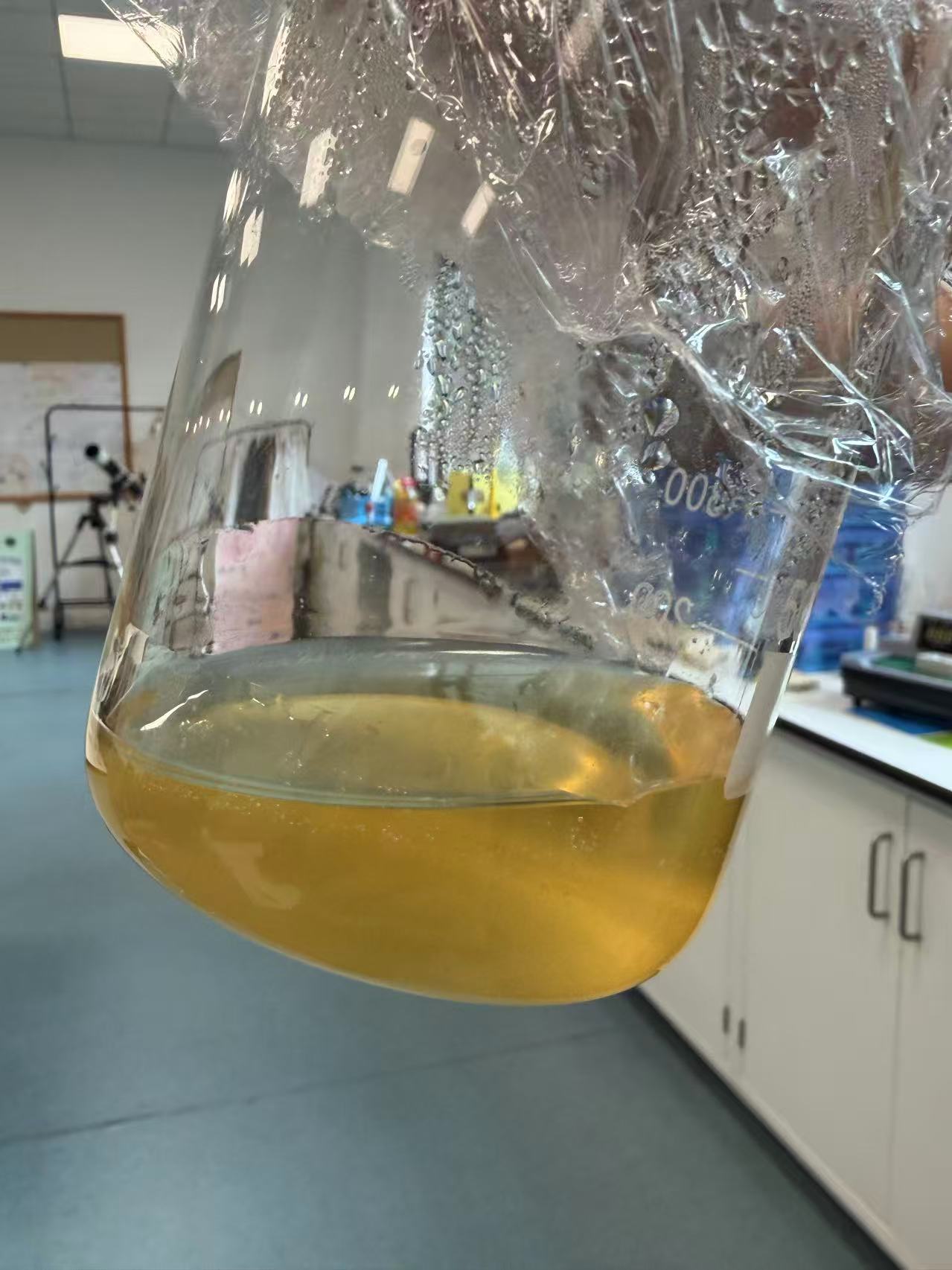 Chitosan solution preparation