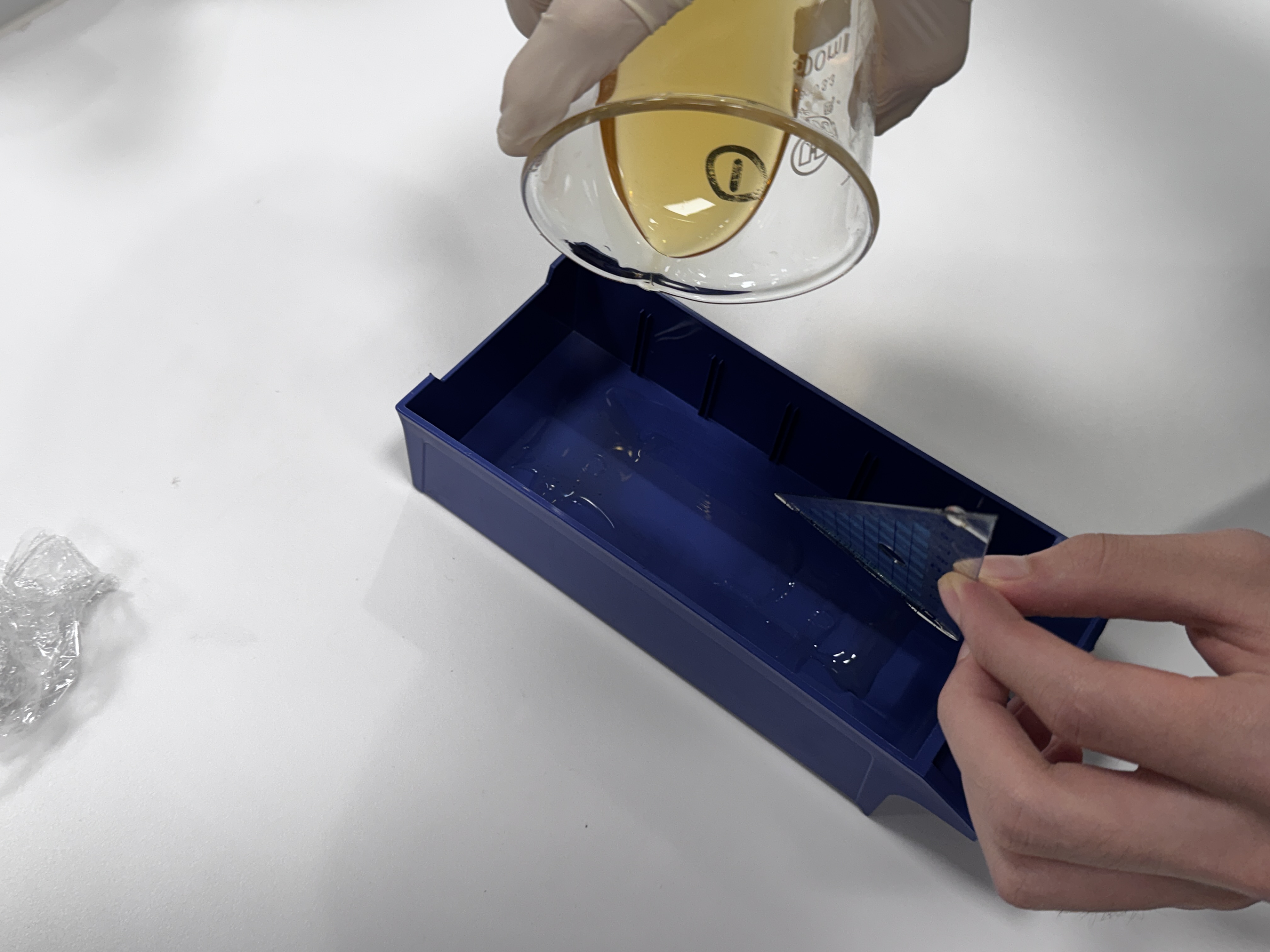 Chitosan coating applied to lattice bridge specimen