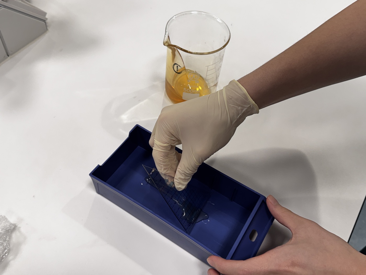 Applying chitosan coating to 3D-printed lattice